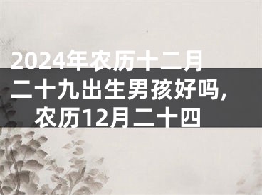 2024年农历十二月二十九出生男孩好吗,农历12月二十四