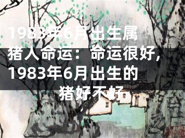 1983年6月出生属猪人命运：命运很好,1983年6月出生的猪好不好
