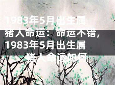 1983年5月出生属猪人命运：命运不错,1983年5月出生属猪人命运如何