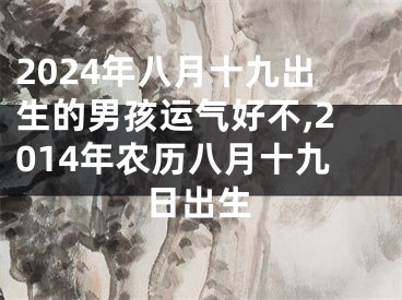 2024年八月十九出生的男孩运气好不,2014年农历八月十九日出生