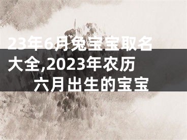 23年6月兔宝宝取名大全,2023年农历六月出生的宝宝
