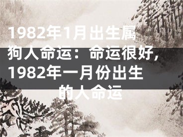 1982年1月出生属狗人命运：命运很好,1982年一月份出生的人命运
