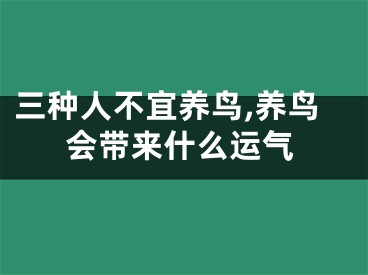 三种人不宜养鸟,养鸟会带来什么运气