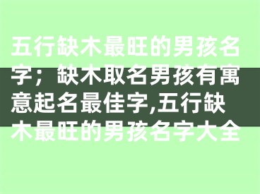 五行缺木最旺的男孩名字；缺木取名男孩有寓意起名最佳字,五行缺木最旺的男孩名字大全
