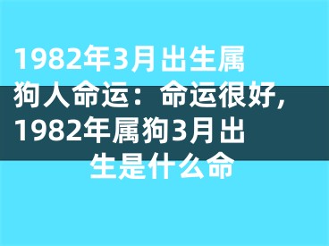 1982年3月出生属狗人命运：命运很好,1982年属狗3月出生是什么命