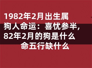 1982年2月出生属狗人命运：喜忧参半,82年2月的狗是什么命五行缺什么