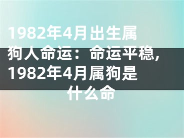1982年4月出生属狗人命运：命运平稳,1982年4月属狗是什么命