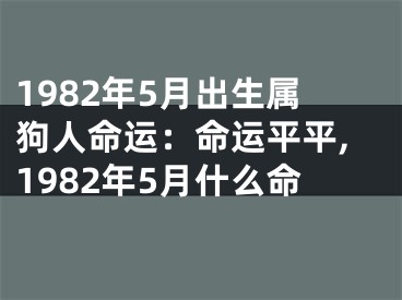 1982年5月出生属狗人命运：命运平平,1982年5月什么命