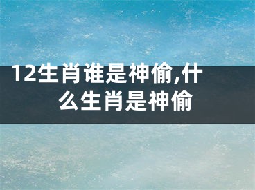 12生肖谁是神偷,什么生肖是神偷