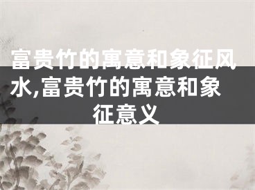 富贵竹的寓意和象征风水,富贵竹的寓意和象征意义