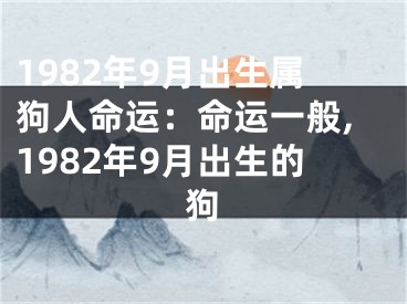 1982年9月出生属狗人命运：命运一般,1982年9月出生的狗