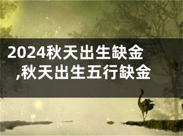 2024秋天出生缺金,秋天出生五行缺金