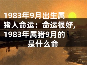 1983年9月出生属猪人命运：命运很好,1983年属猪9月的是什么命