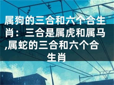 属狗的三合和六个合生肖：三合是属虎和属马,属蛇的三合和六个合生肖