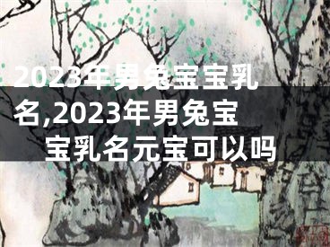 2023年男兔宝宝乳名,2023年男兔宝宝乳名元宝可以吗