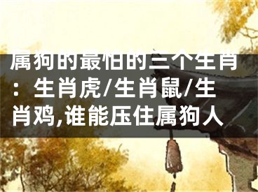 属狗的最怕的三个生肖：生肖虎/生肖鼠/生肖鸡,谁能压住属狗人