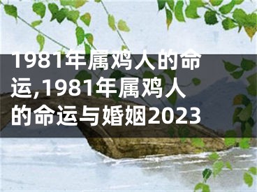 1981年属鸡人的命运,1981年属鸡人的命运与婚姻2023