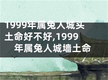 1999年属兔人城头土命好不好,1999年属兔人城墙土命