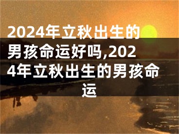 2024年立秋出生的男孩命运好吗,2024年立秋出生的男孩命运