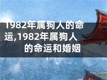 1982年属狗人的命运,1982年属狗人的命运和婚姻