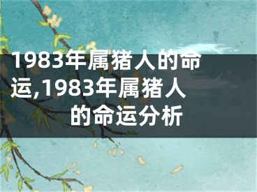 1983年属猪人的命运,1983年属猪人的命运分析
