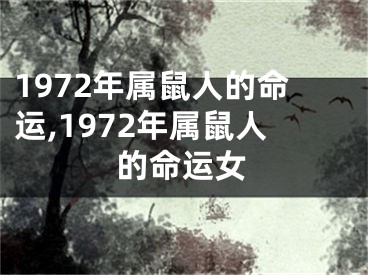 1972年属鼠人的命运,1972年属鼠人的命运女