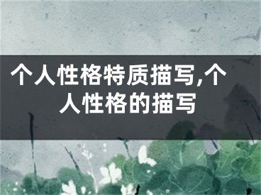 个人性格特质描写,个人性格的描写
