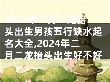 2024年二月二龙抬头出生男孩五行缺水起名大全,2024年二月二龙抬头出生好不好
