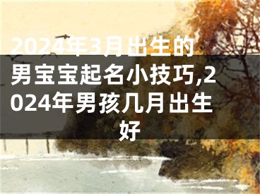 2024年3月出生的男宝宝起名小技巧,2024年男孩几月出生好