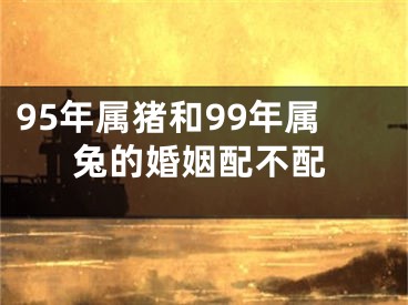 95年属猪和99年属兔的婚姻配不配