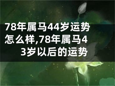 78年属马44岁运势怎么样,78年属马43岁以后的运势