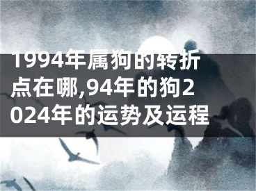1994年属狗的转折点在哪,94年的狗2024年的运势及运程
