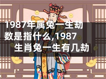1987年属兔一生劫数是指什么,1987生肖兔一生有几劫
