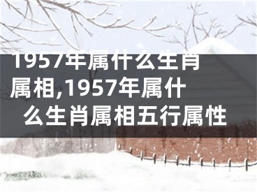 1957年属什么生肖属相,1957年属什么生肖属相五行属性