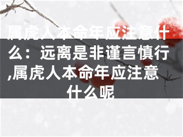 属虎人本命年应注意什么：远离是非谨言慎行,属虎人本命年应注意什么呢
