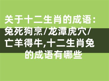 关于十二生肖的成语：兔死狗烹/龙潭虎穴/亡羊得牛,十二生肖兔的成语有哪些
