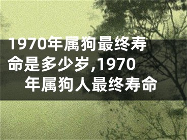 1970年属狗最终寿命是多少岁,1970年属狗人最终寿命