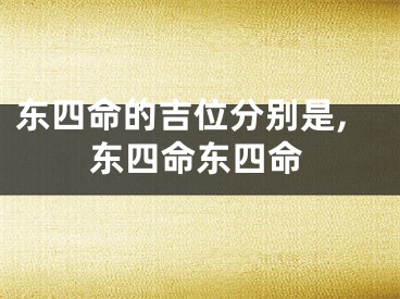 东四命的吉位分别是,东四命东四命