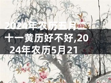 2024年农历五月二十一黄历好不好,2024年农历5月21