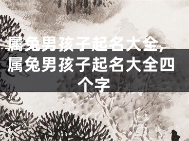 属兔男孩子起名大全,属兔男孩子起名大全四个字