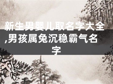 新生男婴儿取名字大全,男孩属兔沉稳霸气名字