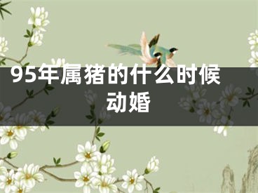 95年属猪的什么时候动婚