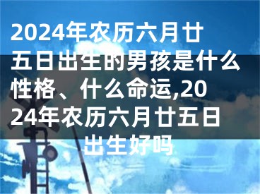 2024年农历六月廿五日出生的男孩是什么性格、什么命运,2024年农历六月廿五日出生好吗