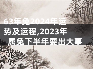 63年兔2024年运势及运程,2023年属兔下半年要出大事