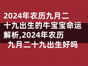 2024年农历九月二十九出生的牛宝宝命运解析,2024年农历九月二十九出生好吗