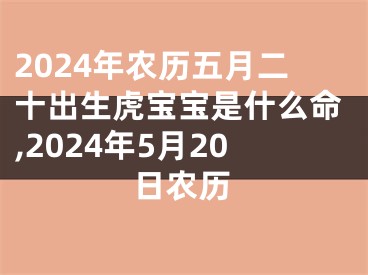 2024年农历五月二十出生虎宝宝是什么命,2024年5月20日农历