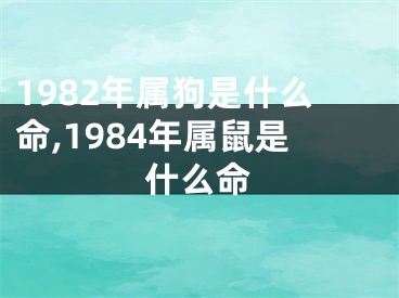 1982年属狗是什么命,1984年属鼠是什么命
