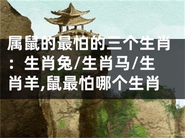 属鼠的最怕的三个生肖：生肖兔/生肖马/生肖羊,鼠最怕哪个生肖