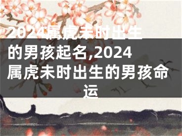 2024属虎未时出生的男孩起名,2024属虎未时出生的男孩命运