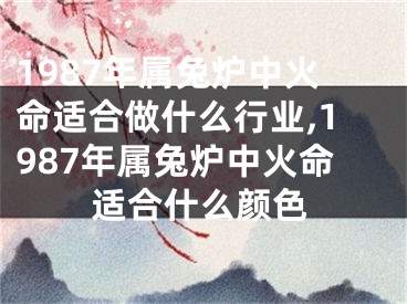 1987年属兔炉中火命适合做什么行业,1987年属兔炉中火命适合什么颜色